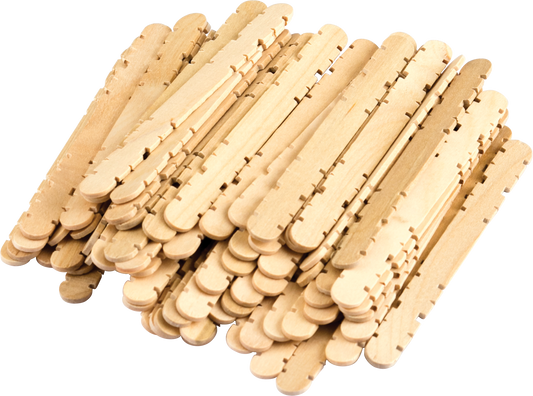 STEM Basics: Skill Sticks - 250 Count