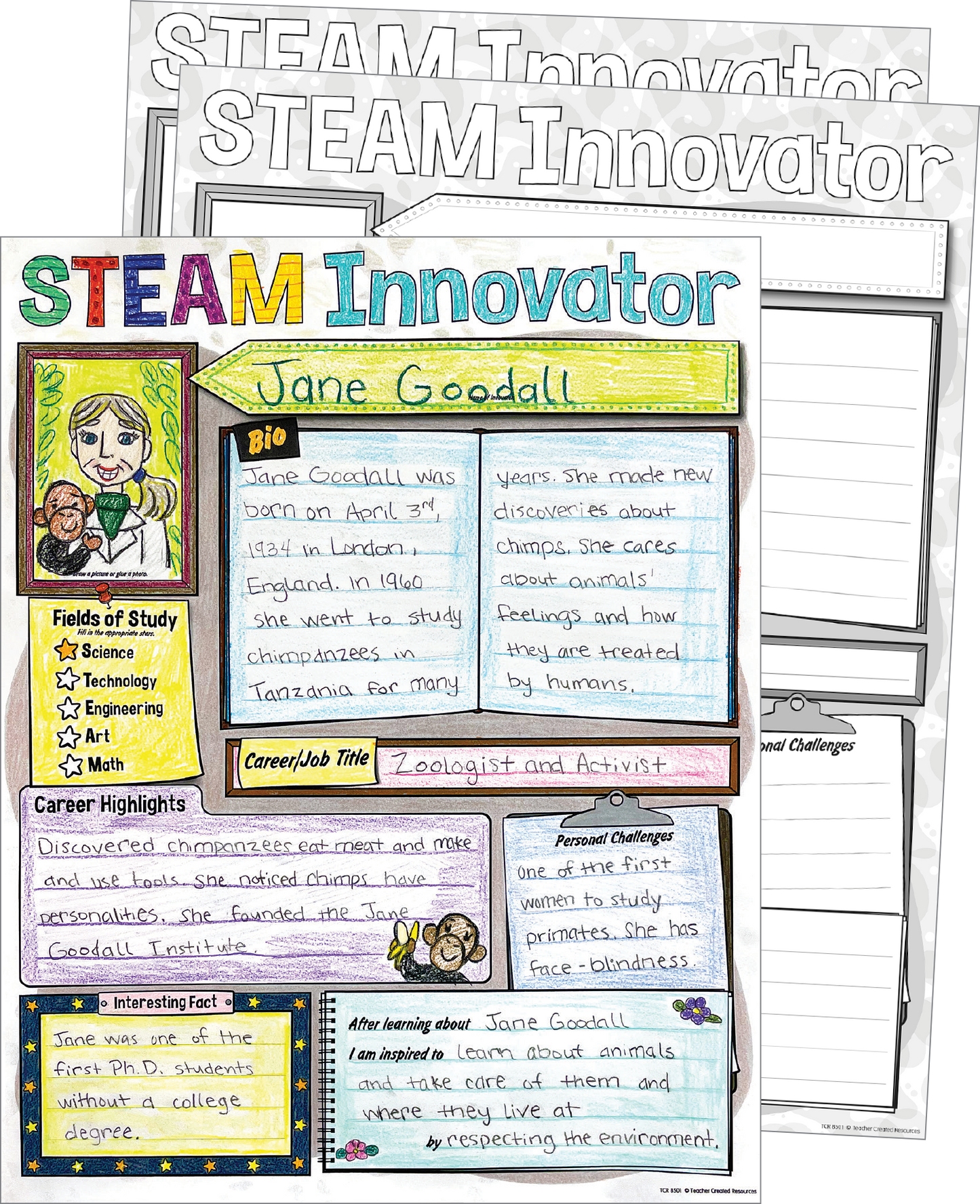 STEAM Innovator Poster Pack