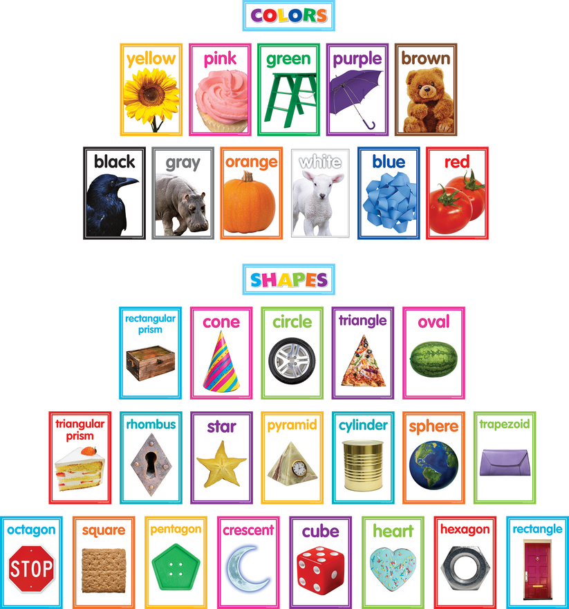 Colorful Photo Shapes & Colors Cards Bulletin Board – McGregor's ...