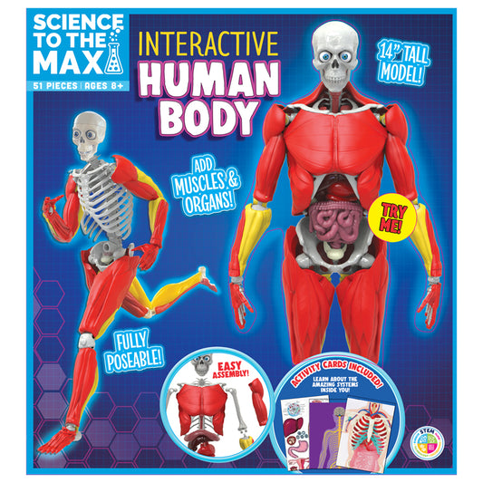 INTERACTIVE HUMAN BODY