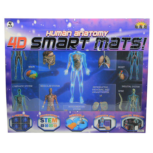 HUMAN ANATOMY SMART MATS SET OF 4