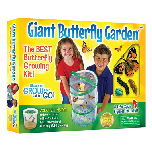 GIANT BUTTERFLY GARDEN