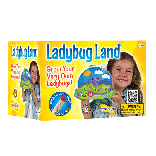 LADYBUG LAND