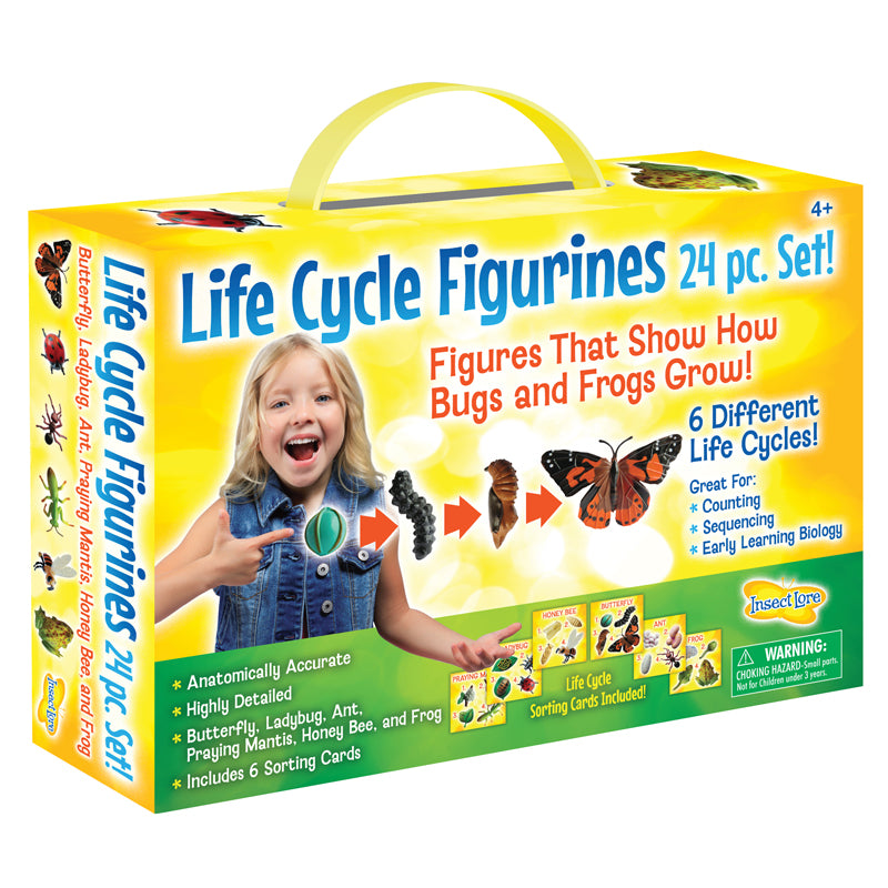 LIFE CYCLE FIGURINES 24PC SET