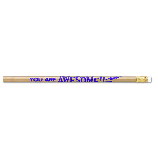 PENCILS YOU ARE AWESOME 12/PK