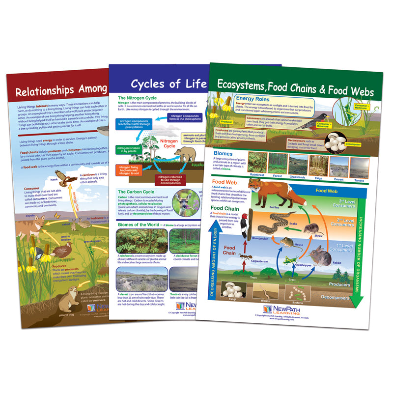 ECOLOGY BULLETIN BOARD CHART SET