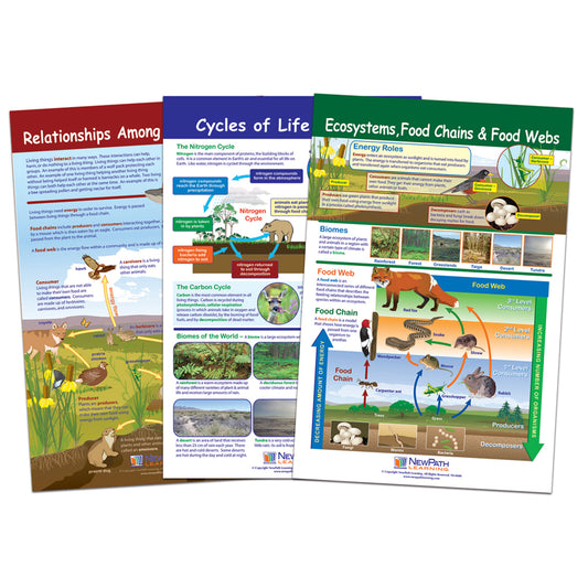 ECOLOGY BULLETIN BOARD CHART SET