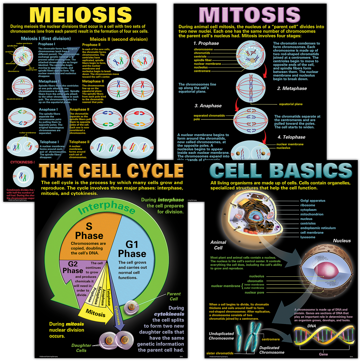Cell Lab Poster Cells Poster Set – McGregor's Teacher Supplies